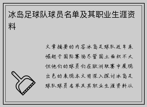 冰岛足球队球员名单及其职业生涯资料